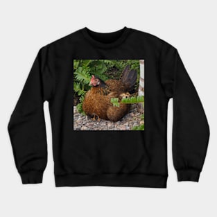 Rooster with her Chicks Crewneck Sweatshirt